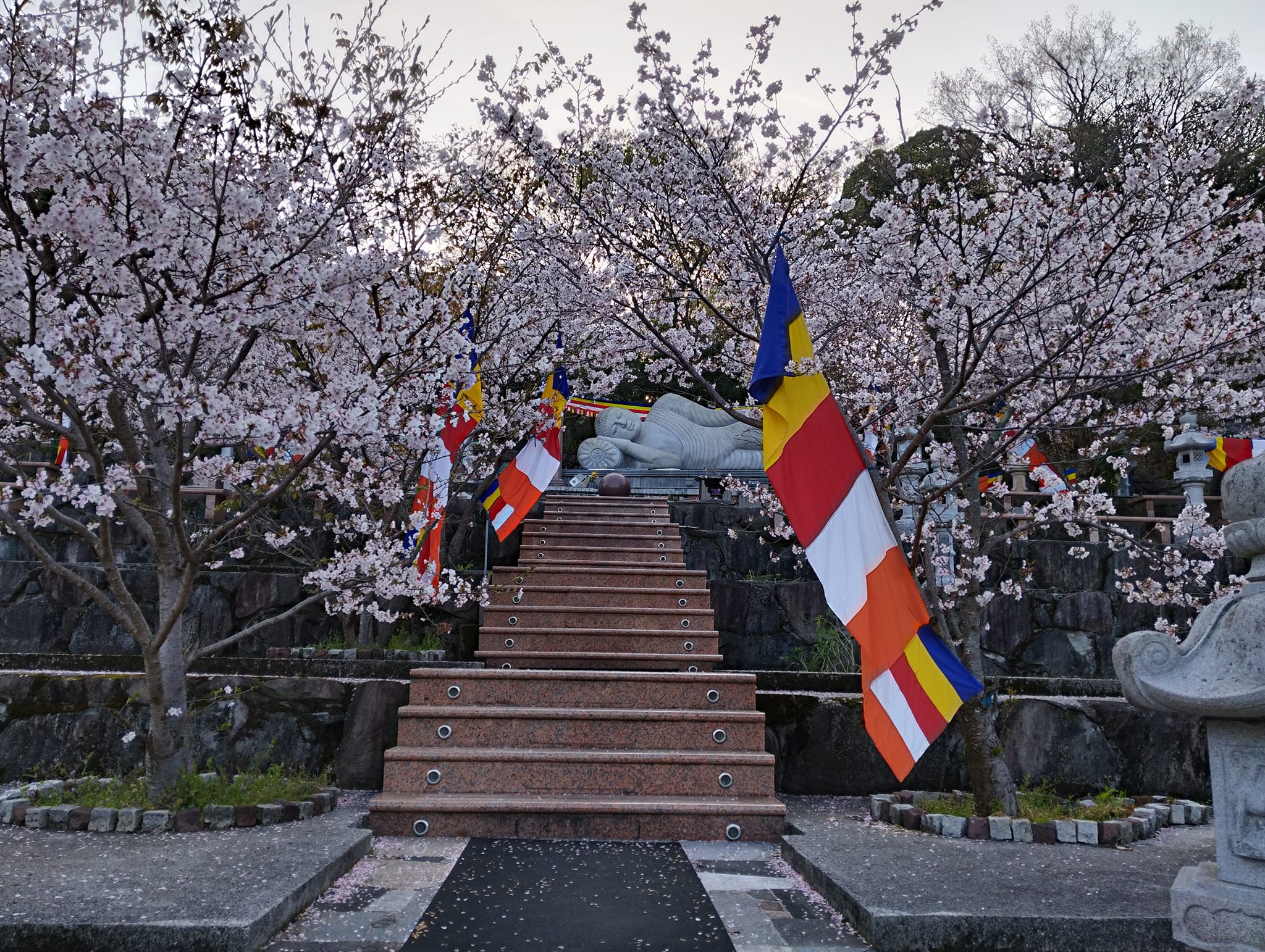 340208610_740054170932161_6475612959064879414_n